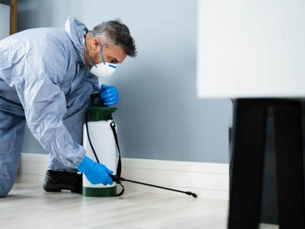 EcoLux Débarras Luxembourg